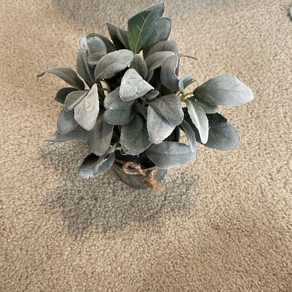 fake plant